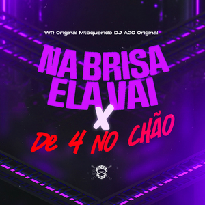 Na Brisa Ela Vai X De 4 no Chão