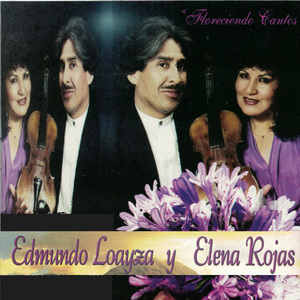 Cerrito de Huacsapata/Adios Pueblo de Ayacucho/Linda Andahuaylina/Valicha/Casarme Quiero