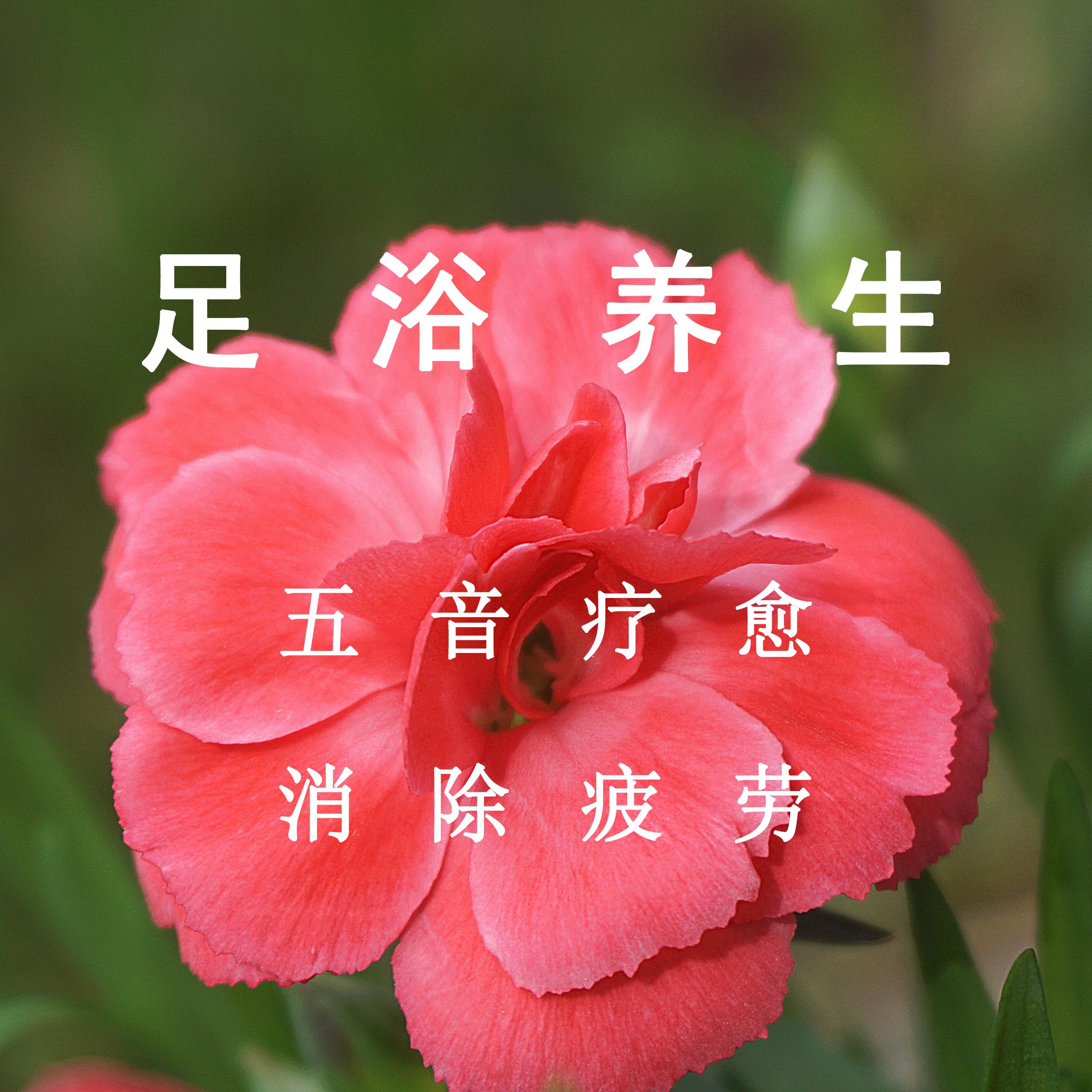 足浴养生