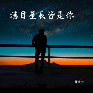 满目星辰皆是你