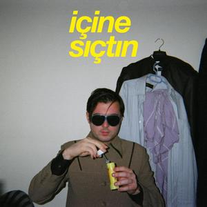 İçine Sıçtın