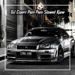 DJ CIPERI PAM PAM
