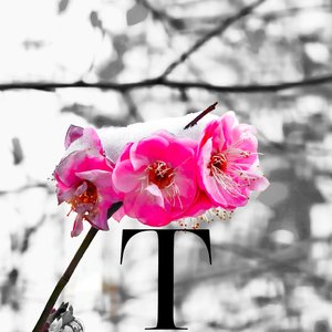 没收了我的心（Prod.Flipmagic）