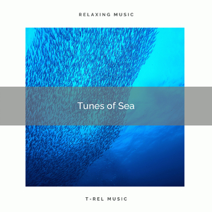 Rhythm of Sea for Total Sleep pt. 1