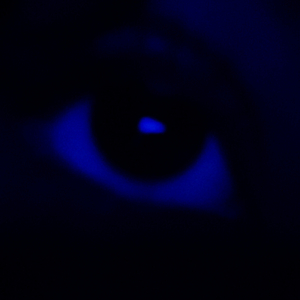 Nobody Goin Tear Us Apart