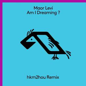 Am I Dreaming? (hkm2hou remix)