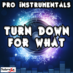 Turn Down For What (Karaoke Version) [Originally Performed by DJ Snake & Lil Jon]