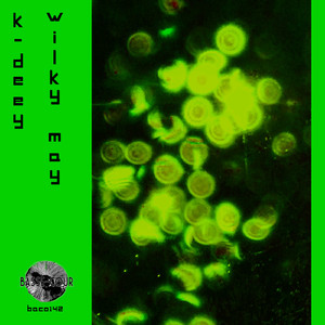 Wilky May (Original Mix)