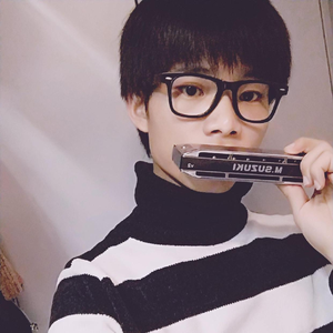 光辉岁月 口琴版