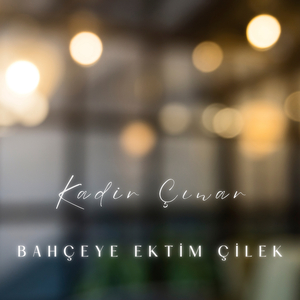 Bahçeye Ektim Çilek