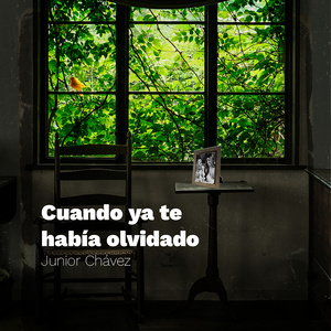 Cuando ya te había olvidado