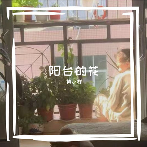 阳台的花