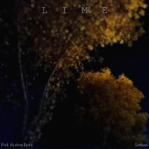 L.I.M.E part. 1