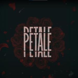 PETALE