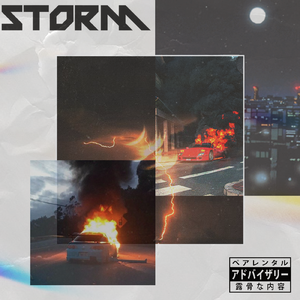 Anaesthetic gun 麻醉枪