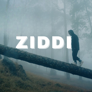 ZIDDI