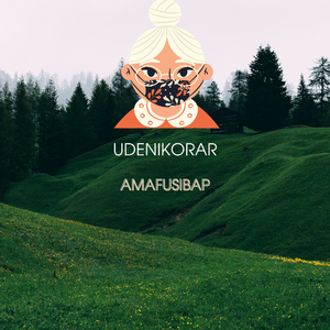 Udenikorar