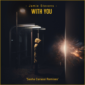 With You (Sasha Carassi Extended Remix)
