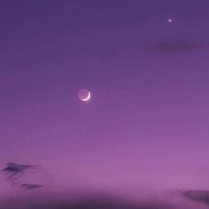 别非要我大声说出来