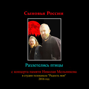 Разлетелись птицы (Концерт в студии телеканала РАДОСТЬ МОЯ 2016 год)
