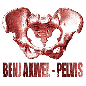 Pelvis