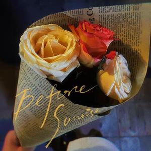 17岁的夏天 女声