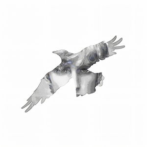 the raven's lullaby (Remastered)