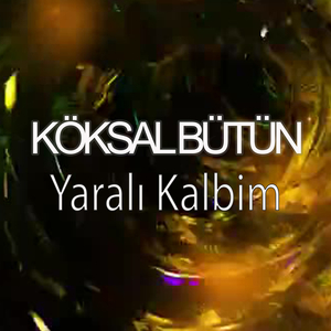 Yaralı Kalbim