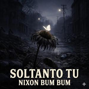 Soltanto Tu