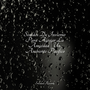 Estados De Ánimo Relajantes