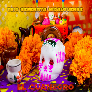 Cuanegro