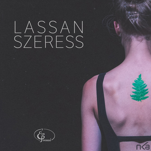 Lassan szeress