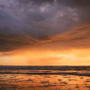 自由的梦想 伴奏