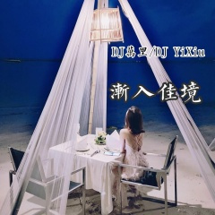 领嗨全场 (DJ版)