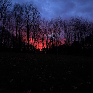 Untitled.fim