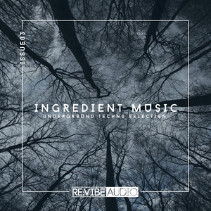 My Foult (Original Mix)