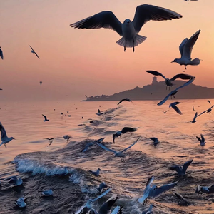 天晓得 （满分）