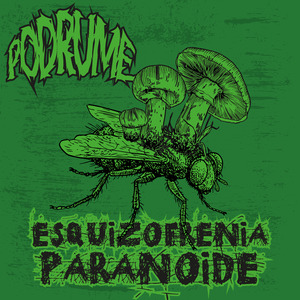 Esquizofrenia Paranóide