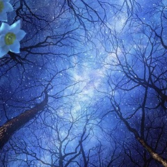 让全世界都知道我爱你 (DJ版)