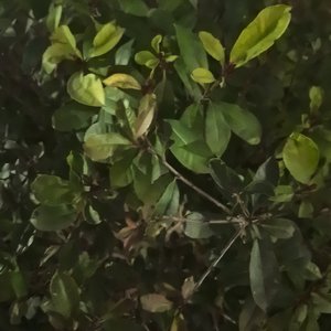 孤独也是一种自洽的人生