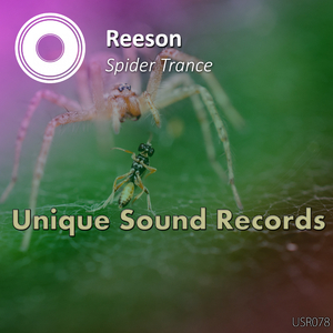 Spider Trance (Original Mix)