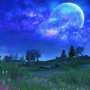 我们都是金凤凰 伴奏