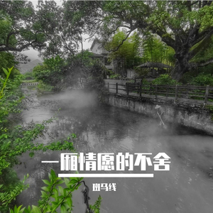 一厢情愿的不舍