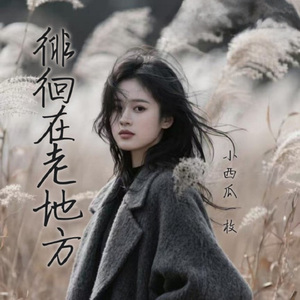 徘徊在老地方 (女版)