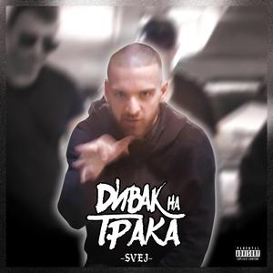 ДИВАК НА ТРАКА