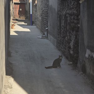 无花果 (mp3cut.net).wav