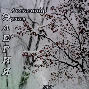 Элегия