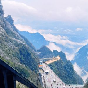 被爱伤害的女孩