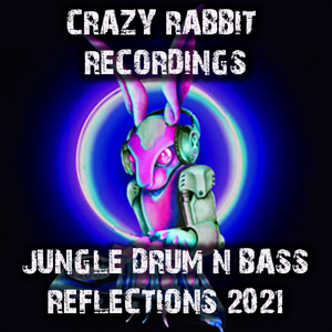 New Flotation (Cynical Rude Boy Drum and Bass Remix)