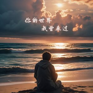 你的世界我曾来过